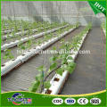 Agricultura escalada de tomate / pepino Plant Support Net